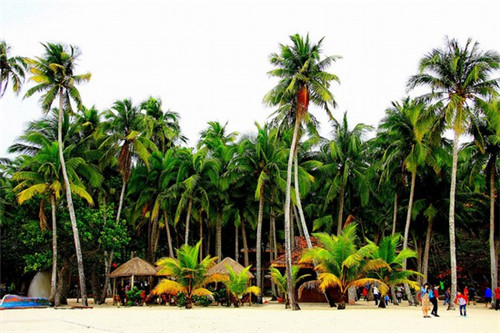 爱叮煲炸鸡米堡