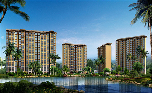 鱼头大大鱼头泡饭