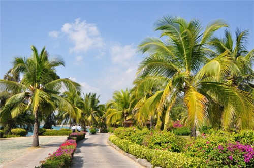 瓦罐奶茶加盟费多少