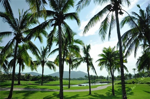 乳钙加盟什么店赚钱