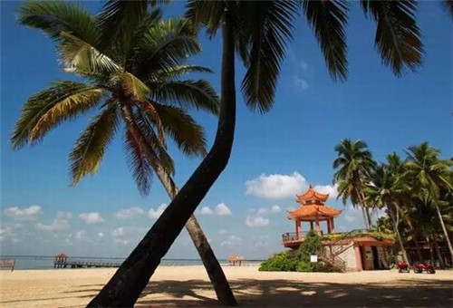 惠城区河南岸金城花园房价（金岸城市花园楼盘）