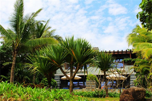 为什么不让我唱手机歌（你为什么不让我唱歌）